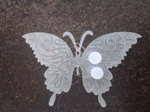 Motýl bílý