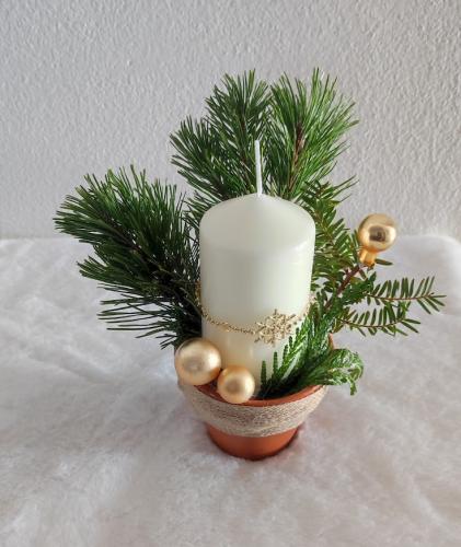 Adventní květináč